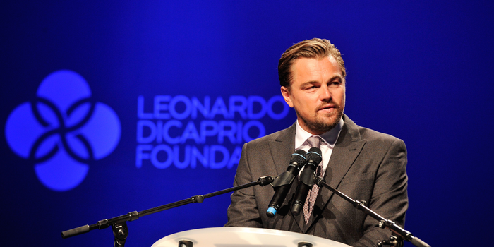 How Leonardo DiCaprio Became Hollywood's Funniest Eco-Warrior