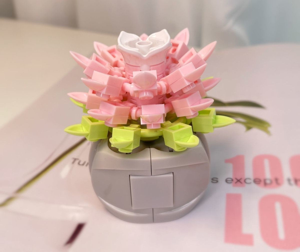 DIY Succulent Potted Plant Gift Set 2 - Building Block Flowers that Never Wilt - Builditfy
