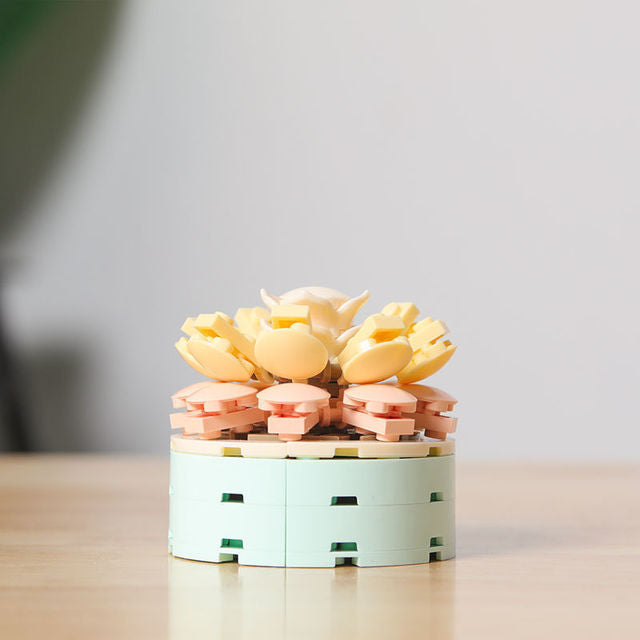 DIY Succulent Potted Plant Gift Set 4 - Building Block Flowers that Never Wilt - Builditfy