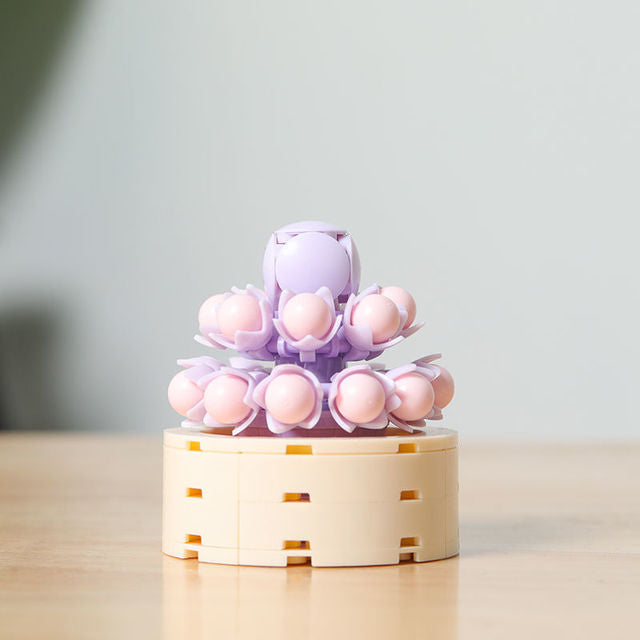 DIY Succulent Potted Plant Gift Set 4 - Building Block Flowers that Never Wilt - Builditfy