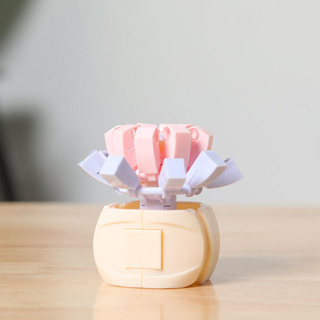 DIY Succulent Potted Plant Gift Set 2 - Building Block Flowers that Never Wilt - Builditfy