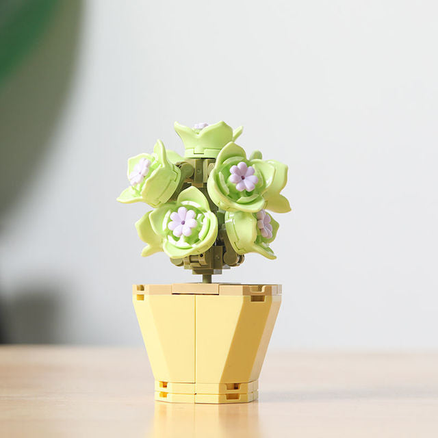 DIY Succulent Potted Plant Gift Set 1 - Building Block Flowers that Never Wilt - Builditfy