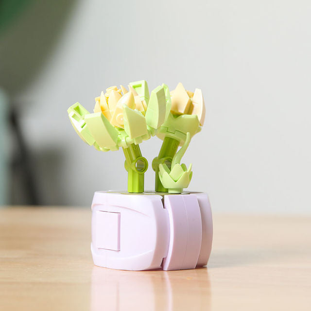 DIY Succulent Potted Plant Gift Set 3 - Building Block Flowers that Never Wilt - Builditfy