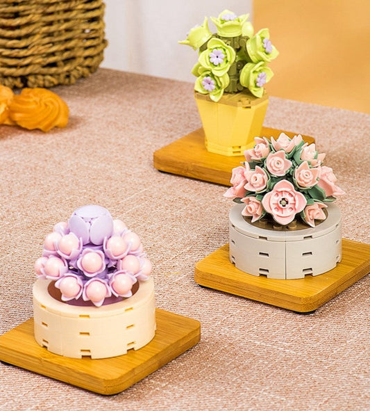 DIY Succulent Potted Plant Gift Set 1 - Building Block Flowers that Never Wilt - Builditfy