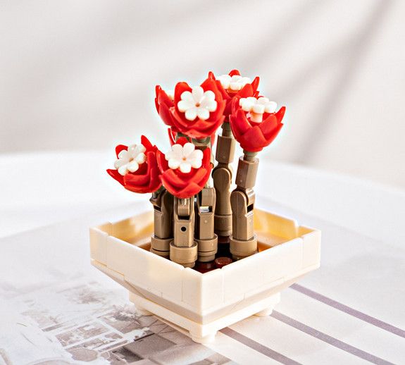 DIY Succulent Potted Plant Gift Set 2 - Building Block Flowers that Never Wilt - Builditfy