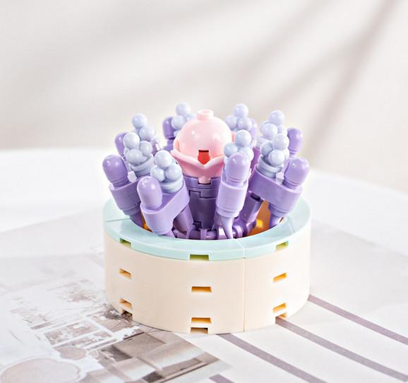 DIY Succulent Potted Plant Gift Set 2 - Building Block Flowers that Never Wilt - Builditfy