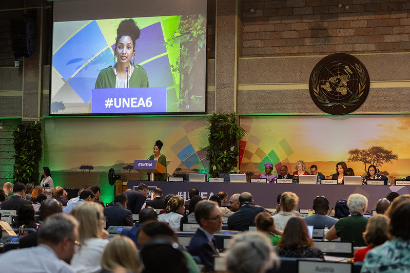 Rethinking UN Environmental Financing: A Call for Proportional Commitment