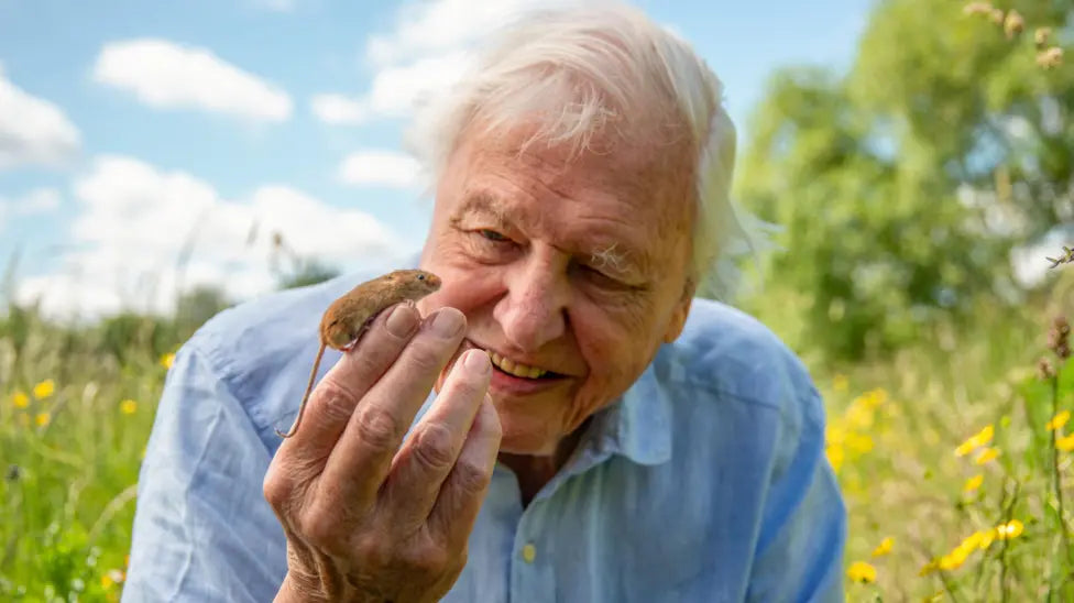 David Attenborough: A Life of Environmental Advocacy