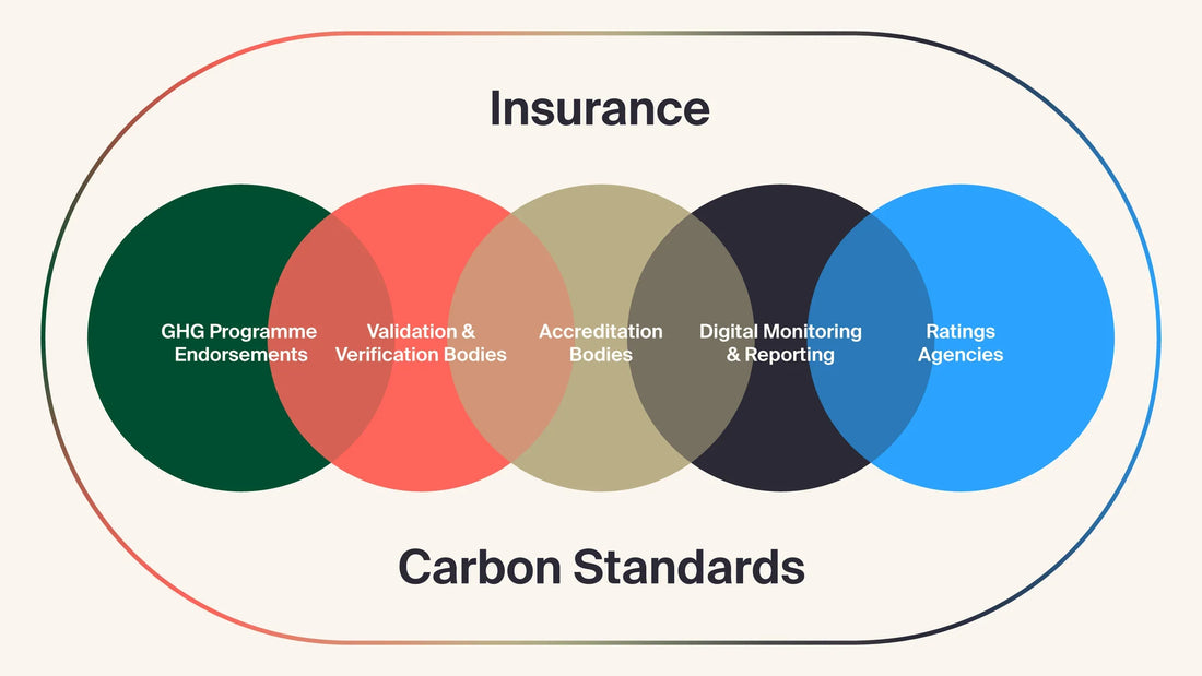 Carbon Credit Insurance: Navigating the Evolving ESG Landscape