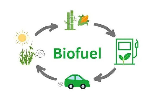 Unlocking the Future: The Transformative Power of Bio-fuels