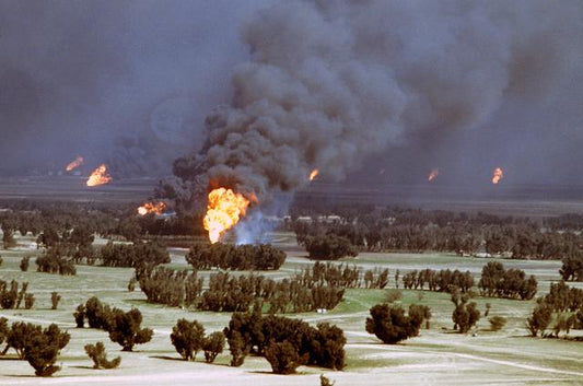 The Devastating Environmental Toll of War: A Call for Sustainable Conflict Resolution