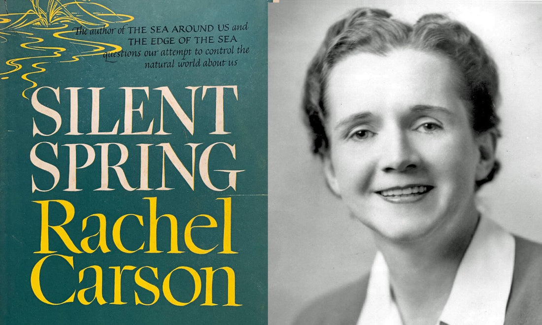 The Environmental Movement: Shaping a Greener Future
