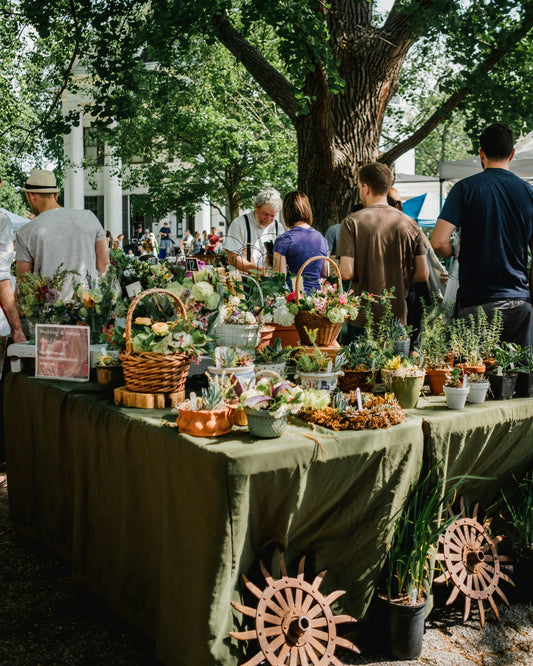 Rethinking Growth: How Degrowth Can Save the Planet