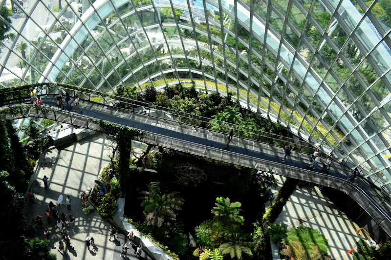 Eco Buildings: Shaping a Sustainable Future