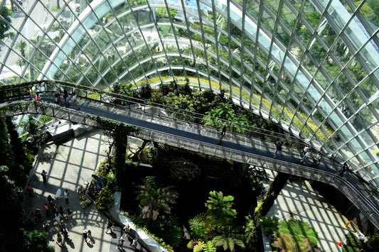 Eco Buildings: Shaping a Sustainable Future