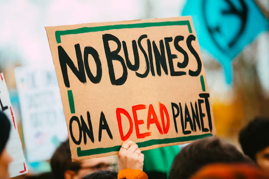 The Corporate Sustainability Balancing Act: Navigating ESG and Net Zero Amid Shifting Priorities