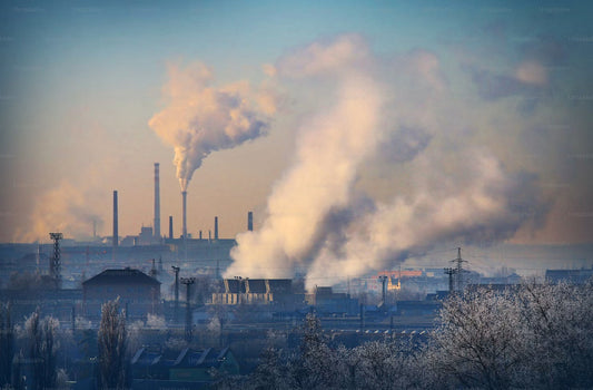 Combating Land Contamination: Strategies for Environmental Restoration