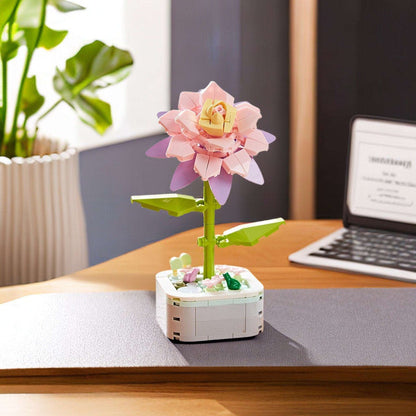 GIFT SET - Epiphyllum Cactus DIY Floral Bliss: Craft Your Own Eternal Garden with Flower Building Block Kits - Builditfy